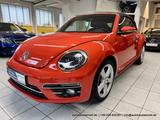 Volkswagen Beetle Cabriolet 1.4 Aut. - nur 37 tkm -  KAM.. - Volkswagen Beetle in Bonn