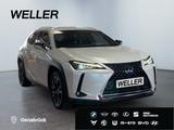 Lexus UX 250h Style Edition *Bi-LED*ACC*CAM*SHZ*CarPla - graue Lexus UX