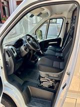 Fiat Camper Van - Fiat Ducato - L2H2 - 140 PS - Offers