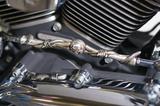 Harley-Davidson FXSTC Softail Custom Chopper - Offers matching your search criteria