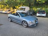 Audi S5 3.0 TFSI Cabrio - Garantie - Carbon - Audi S5 Gebrauchtwagen