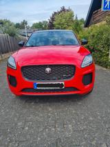 Jaguar E-Pace D150 R-DYNAMIC SE, *Automatic*Leder*Navi - Jaguar E-Pace von privat