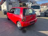 Seat Arosa Prima 1,0 SCHECKHEFTGEPFLEGT - Seat Arosa: 1.0