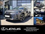 Lexus UX 250h HYBRID Style Edition - gebrauchte Lexus Kleinwagen