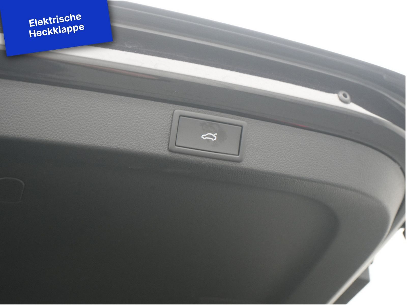 Skoda Octavia - Bild 16