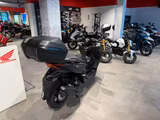 Honda Forza 125 2026 Cynos Gray *sofort verfügbar - HONDA CY