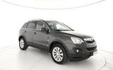 Opel OPEL Antara 2.0 CDTI 170CV 4x2 S&S Cosmo Plus - Opel Antara aus 2016