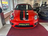 Volkswagen Beetle Cabriolet Sport/R-Line*Xenon*Kamera* - Volkswagen Beetle: Leder