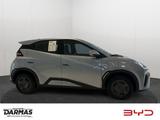 BYD DOLPHIN SURF Active Vorverkauf - BYD Gebrauchtwagen in Berlin