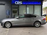 Jaguar XF Pure | 1 Hand | 8000 KM!! | 8-fach bereift - Jaguar XF: Pure