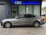 Jaguar XF Pure | 1 Hand | 8000 KM!! | 8-fach bereift - Jaguar XF aus 2020