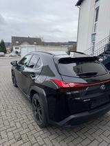 Lexus UX 250h Edition Style 4x4 - Lexus aus 2021