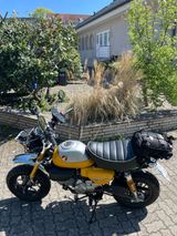 Honda Monkey Z 125 5 Gang Top Zustand 1500 Km  - HONDA POCKET BIKE