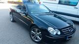 Mercedes-Benz CLK 350 AVANTGARDE  - Mercedes-Benz CLK 350: Cabrio
