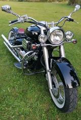 Suzuki Intruder Vl800 - SUZUKI VL 800