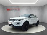 Land Rover Range Rover Evoque Pure / Leder/ Sound/AHK abn. - aus 2012: Evoque