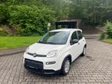 Fiat Panda Base - Fiat Panda Gebrauchtwagen in Wuppertal