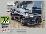 Lexus NX 350 h Business Line mit Connect LED+360+Kam. - Lexus aus 2024: Nx