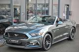 Ford Mustang Cabrio 5.0 V8 GT Aut. Navi* Premium* - Ford Mustang: Premium