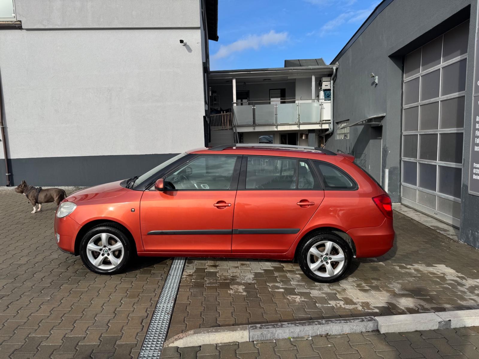 Skoda Fabia 2009 — photo 5