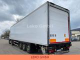 Merker Frappa  Doppelstock Vector 1950 MT