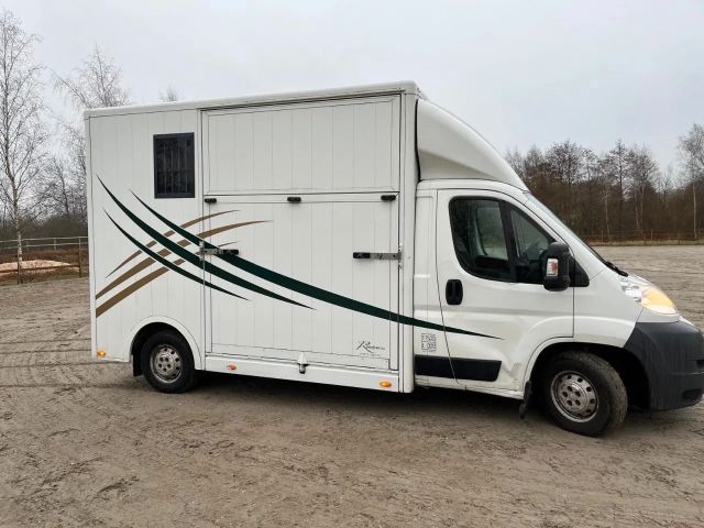 Fiat Ducato Roelofsen 2 Horsetruck