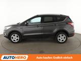 Ford Kuga 1.5 EcoBoost Trend *TEMPO*AHK*SHZ*LHZ*KLIMA - Ford Kuga: Trend
