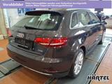 Audi A3 SPORTBACK DESIGN 1.5 TFSI S TRONIC (+NAVI) - Audi A3 Gebrauchtwagen in Osnabrück