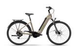 Winora Tria X9 Gr. M / RH: 46 - Winora E-Bikes