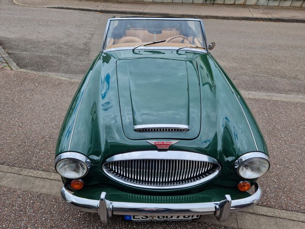 Austin Healey Andere