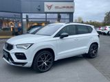 Cupra Ateca 2.0 TSI DSG Pano AHK 19 Zoll ACC SHZ