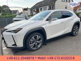 Lexus UX 300e *EXECUTIVE*LEDER*BELÜFTETE SITZE*4xSH* - Lexus Elektroautos