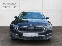Skoda Octavia - Vorschau Bild 3