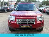 Land Rover Freelander 2 HSE TD4_e*DIESEL*NAVI*PDC*SHZ*AHK* - Land Rover Freelander Gebrauchtwagen