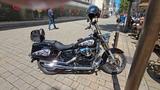 Honda Shadow vt125 - Angebote entsprechen deinen Suchkriterien