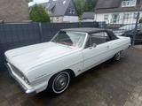 Chevrolet Malibu - Chevrolet Malibu Gebrauchtwagen