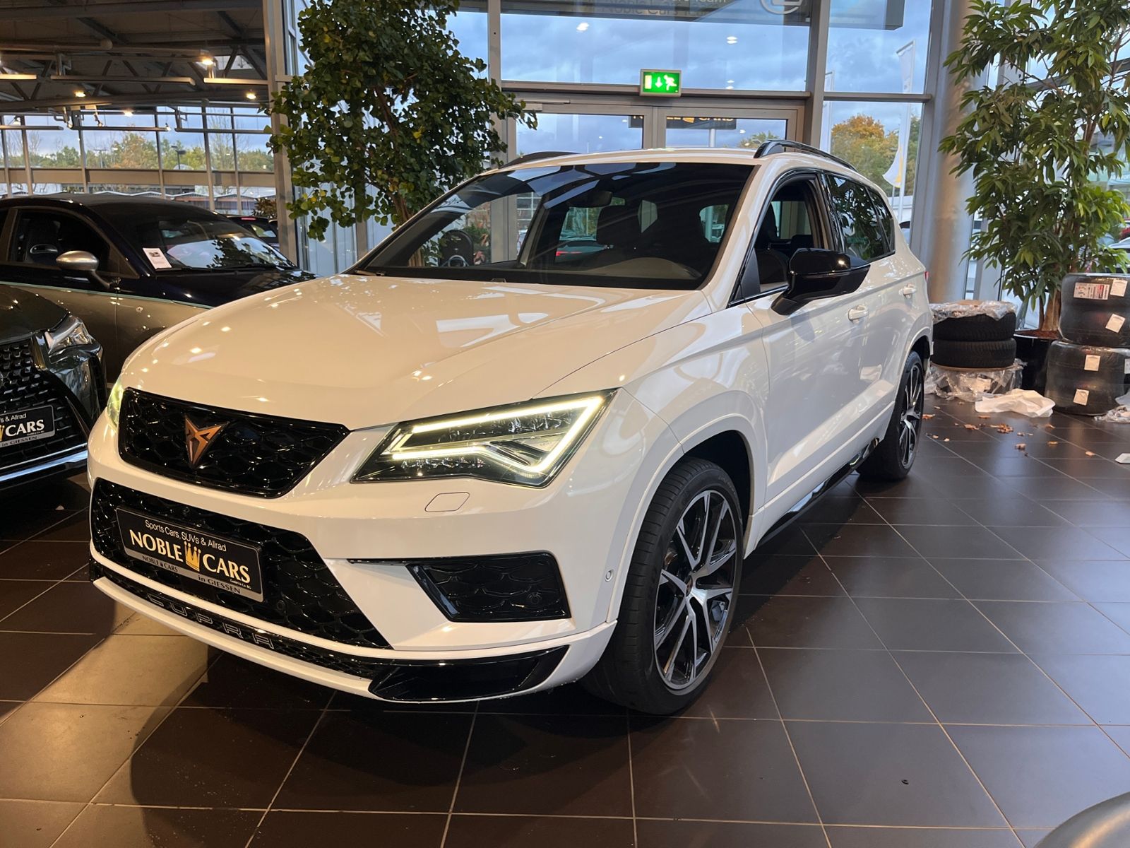 Fahrzeugabbildung CUPRA Ateca 4Drive BEATS 360° ACC LED