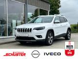 Jeep Cherokee 2,2 M-Jet Limited FWD - Jeep Cherokee aus 2020