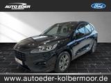 Ford Kuga ST-Line leichter Hagelschaden Sportpaket - Ford mit Benzin-Antrieb: Hagelschaden