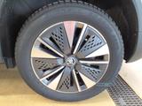 Skoda Karoq 1.5 TSI Tour DSG AHK Matrix Navi RüKa 17" - Skoda Karoq Jahreswagen