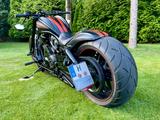 Harley-Davidson  V-Rod Night Rod Special  Cult-Wek Custm - HARLEY-DAVIDSON V ROD