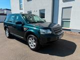 Land Rover Freelander TD4 SE Dynamic / Automatik - Land Rover Freelander aus 2013