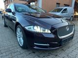 Jaguar XJ 5.0 V8 Portfolio - Jaguar XJ in Dortmund