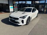 Kia Stinger 3.3 V6 T-GDI 4WD GT ACC|Headup|360°|4xSH - weiße Kia Stinger