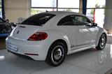 Volkswagen Beetle Lim. Cup KLIMAAUTO./ TEMPOMAT / PDC - Volkswagen Beetle CUP mit Benzin-Antrieb