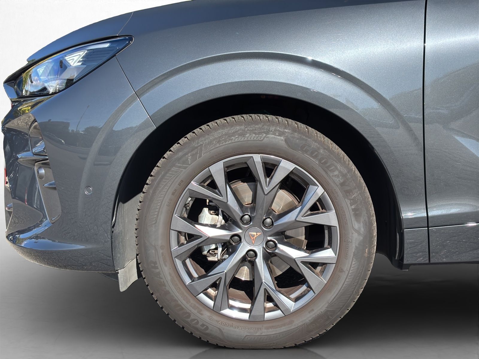 Cupra Terramar - Bild 13