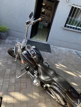 Harley-Davidson Softail - HARLEY-DAVIDSON 1986