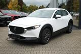 Mazda CX-30 2.0 Selection ACC/r.Kamera/NAV/Key/AHK/aWR - weiße Mazda CX-30