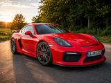Porsche Cayman GT4 /2.Hand/Originalzustand - Porsche Cayman aus 2015