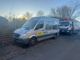 Mercedes-Benz Sprinter 316 CDI mit leichtem Motorschaden - Ladebordwand Sprinter mit